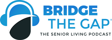 bridge the gap logo color